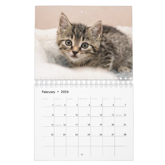 Gepersonaliseerde Cat Lovers Familie Custom 2026 F Kalender (Feb 2026)