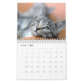 Gepersonaliseerde Cat Lovers Familie Custom 2026 F Kalender (Jan 2026)