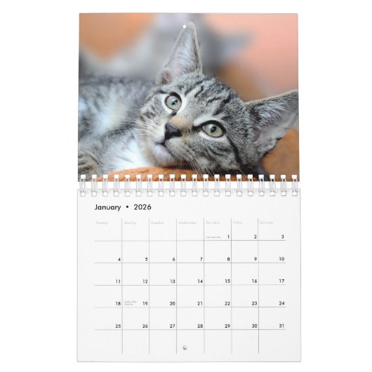 Gepersonaliseerde Cat Lovers Familie Custom 2026 F Kalender (Jan 2026)