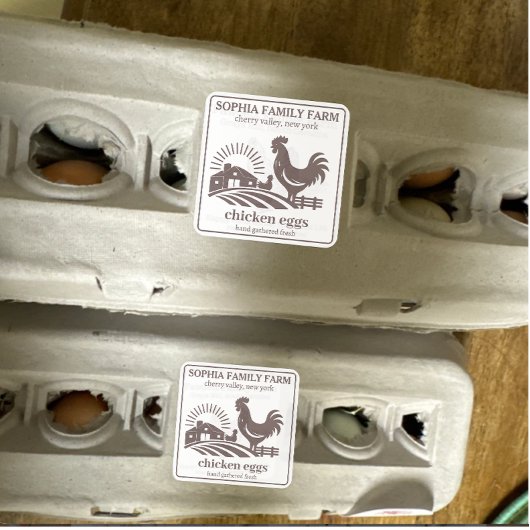 Gepersonaliseerde Chicken Boerderij Eigenaar Naam Vierkante Sticker