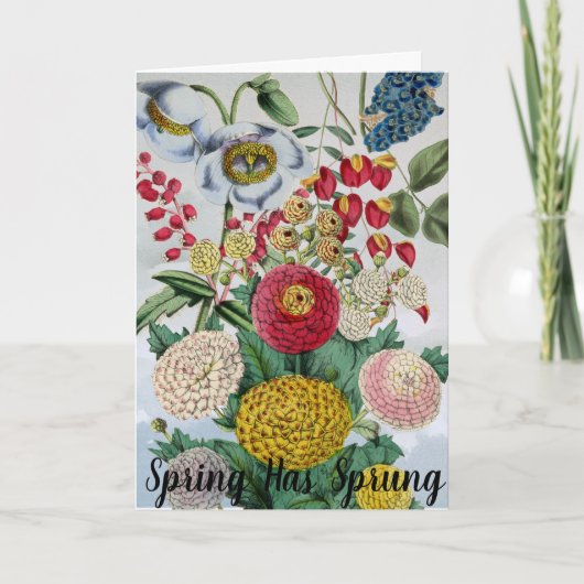 Gepersonaliseerde  Chrysanthemum Poppy Lila Kaart (Voorkant)