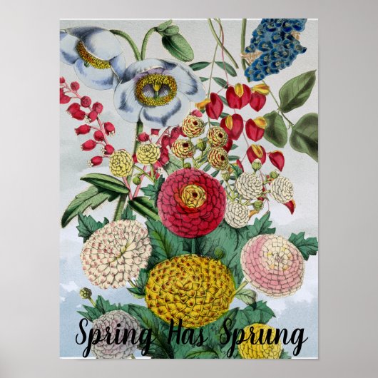 Gepersonaliseerde  Chrysanthemum Poppy Lila Poster (Voorkant)