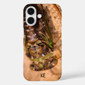 Gepersonaliseerde Cicada Insect Apple iPhone Case (Achterkant)