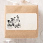  gepersonaliseerde cichenrooster Cochin Birds Etiket (Insitu)