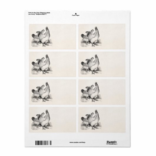  gepersonaliseerde cichenrooster Cochin Birds Etiket (Full Sheet)