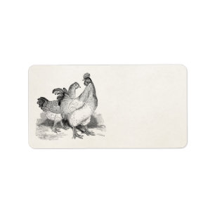  gepersonaliseerde cichenrooster Cochin Birds Etiket