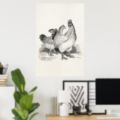  gepersonaliseerde cichenrooster Cochin Birds Poster (Thuiskantoor)