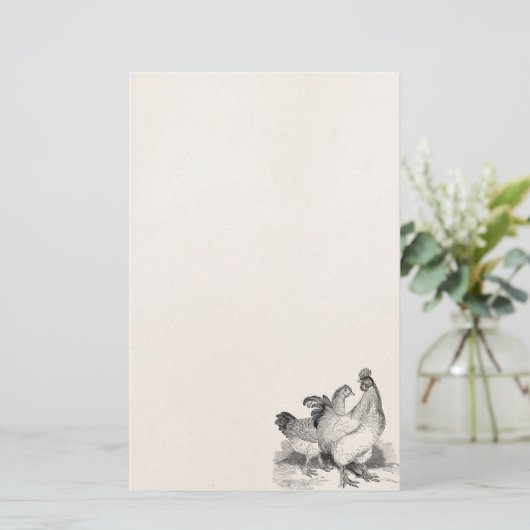  gepersonaliseerde cichenrooster cochin vogels briefpapier (Staand voorkant)