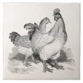  gepersonaliseerde cichenrooster cochin vogels tegeltje (Voorkant)