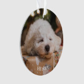 Gepersonaliseerde Creëer Uw eigen foto Ornament (voorkant)