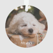 Gepersonaliseerde Creëer Uw eigen foto Ornament (achterkant)