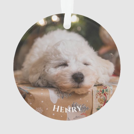 Gepersonaliseerde Creëer Uw eigen foto Ornament (achterkant)