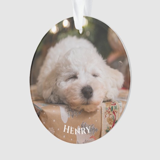 Gepersonaliseerde Creëer Uw eigen foto Ornament (voorkant)