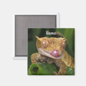 Gepersonaliseerde Crested Gecko Lizard Magneet (Voorkant / Achterkant)