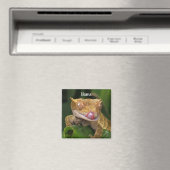 Gepersonaliseerde Crested Gecko Lizard Magneet (Insitu (Vaatwasser))