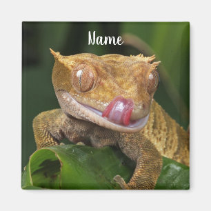 Gepersonaliseerde Crested Gecko Lizard Magneet