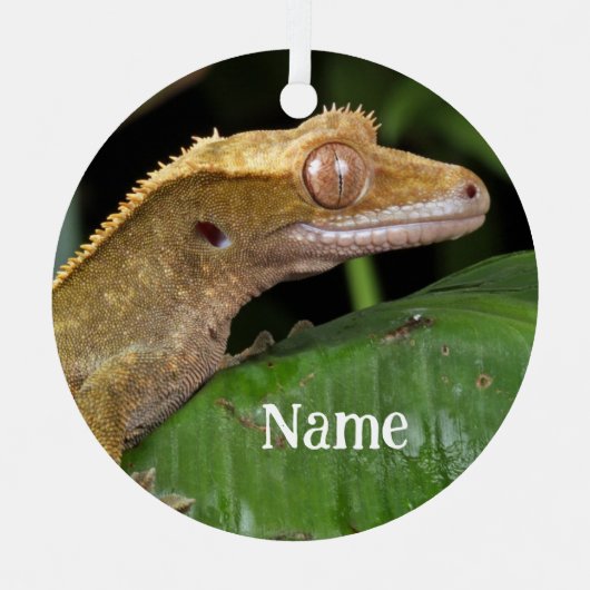 Gepersonaliseerde Crested Gecko Lizard Metalen Ornament (Voorkant)