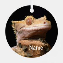Gepersonaliseerde Crested Gecko Lizard op zwart