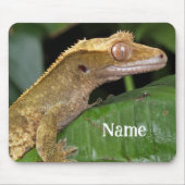 Gepersonaliseerde Crested Gecko Pet Lizard Muismat (Voorkant)