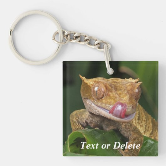Gepersonaliseerde Crested Gecko Sleutelhanger (Voorkant)