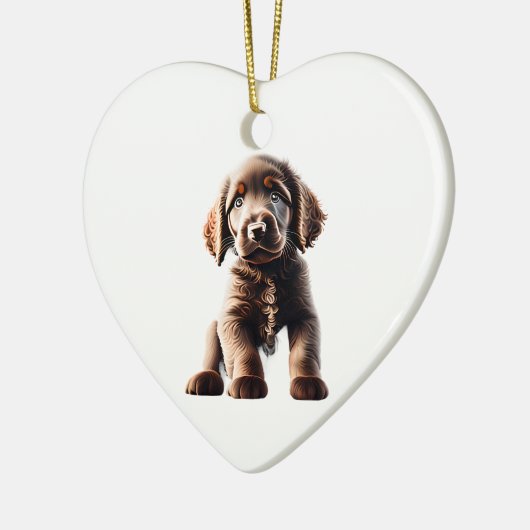 Gepersonaliseerde Curly-Coated Retriever Puppy Keramisch Ornament (Links)