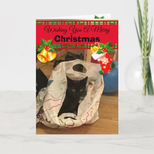 Gepersonaliseerde Custom Cat Christmas-fotokaarten Kaart (Voorkant)
