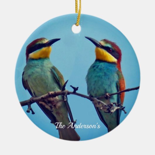 Gepersonaliseerde Custom Kleurrijke Vogels Foto Keramisch Ornament (Voorkant)