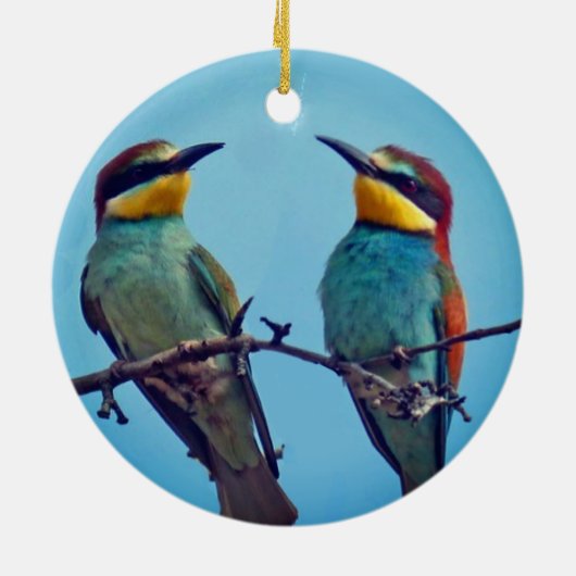 Gepersonaliseerde Custom Kleurrijke Vogels Foto Keramisch Ornament (Achterkant)