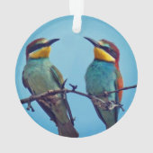 Gepersonaliseerde Custom Kleurrijke Vogels Foto Ornament (achterkant)