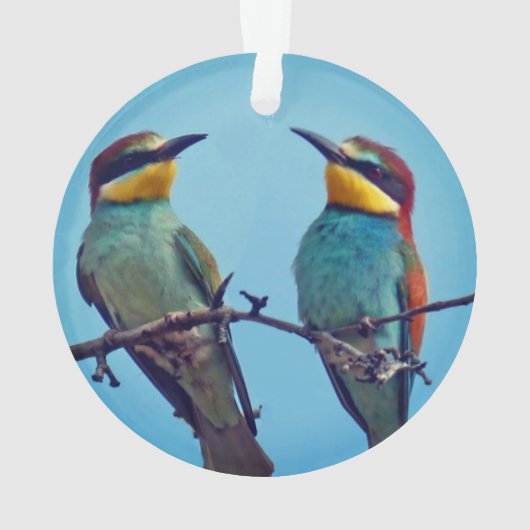Gepersonaliseerde Custom Kleurrijke Vogels Foto Ornament (achterkant)