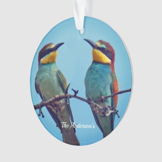 Gepersonaliseerde Custom Kleurrijke Vogels Foto Ornament (voorkant)