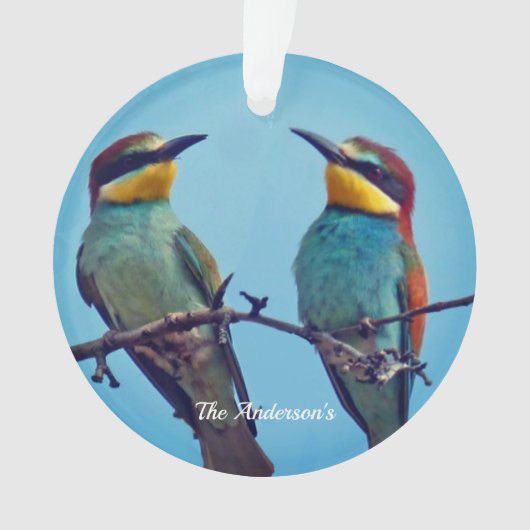 Gepersonaliseerde Custom Kleurrijke Vogels Foto Ornament (voorkant)