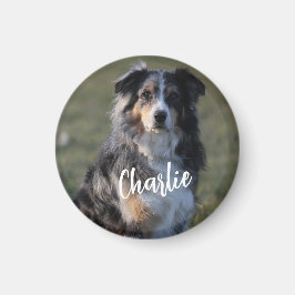 Gepersonaliseerde Custom Pet Dog Foto Magneet