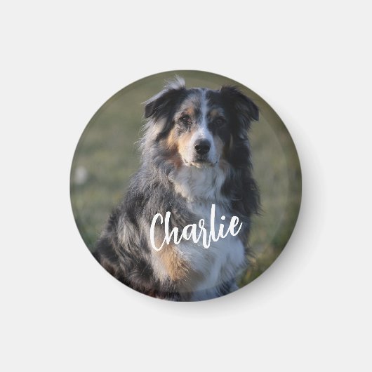 Gepersonaliseerde Custom Pet Dog Foto Magneet (Voorkant)