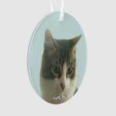 Gepersonaliseerde Custom Tabby Cat Foto op Lichtbl Ornament (voorkant)