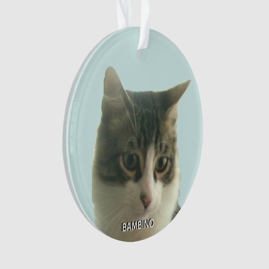 Gepersonaliseerde Custom Tabby Cat Foto op Lichtbl Ornament (voorkant)