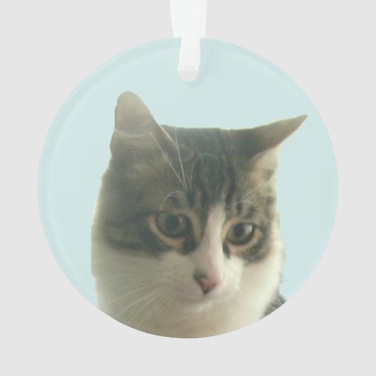 Gepersonaliseerde Custom Tabby Cat Foto op Lichtbl Ornament (achterkant)