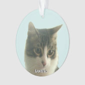 Gepersonaliseerde Custom Tabby Cat Foto op Lichtbl Ornament (voorkant)