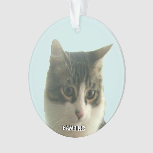 Gepersonaliseerde Custom Tabby Cat Foto op Lichtbl Ornament (voorkant)