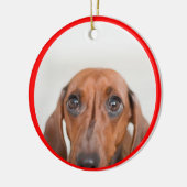 Gepersonaliseerde Dachshund Fotojaar Keramisch Ornament (Links)