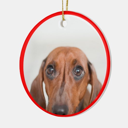 Gepersonaliseerde Dachshund Fotojaar Keramisch Ornament (Links)