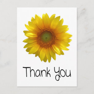 Gepersonaliseerde Dank u Zonnebloem Groet Briefkaa Briefkaart