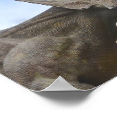 Gepersonaliseerde Dinosaur Poster (Hoek)