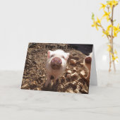 Gepersonaliseerde Dirty Snout Mini Pig Wenskaart Kaart (Gele Bloem)