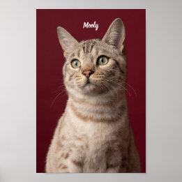 Gepersonaliseerde Dog & Cat Naam Foto Prints, Inst Poster