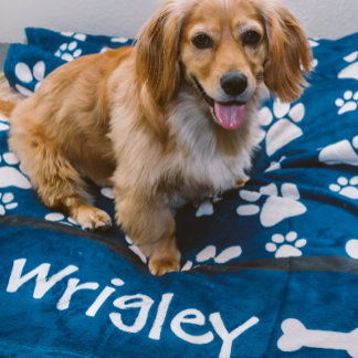 Gepersonaliseerde Dog Gift Paw Prints voor Dog Mom Fleece Deken