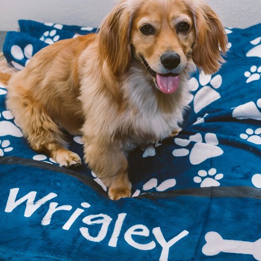 Gepersonaliseerde Dog Gift Paw Prints voor Dog Mom Fleece Deken