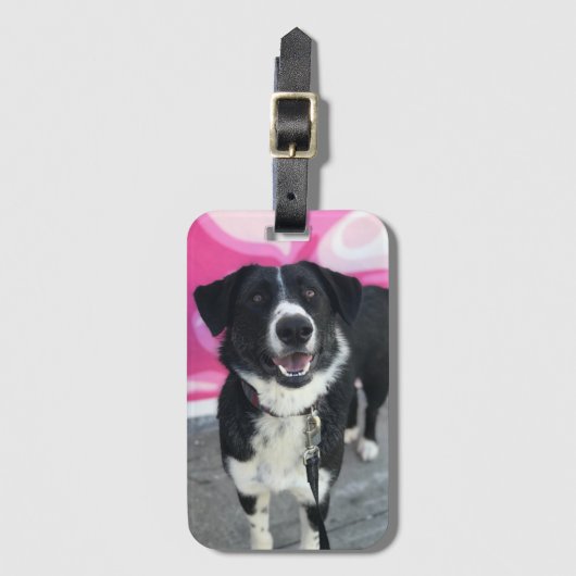 Gepersonaliseerde Dog Photo Custom Bagagelabel (Voorkant (verticaal))