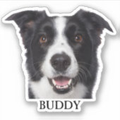 Gepersonaliseerde Dog Photo Sticker Custom Dog Sti (Voorkant)