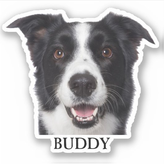 Gepersonaliseerde Dog Photo Sticker Custom Dog Sti (Voorkant)